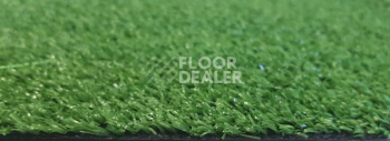 CCGrass Cyp 07-24 7мм Cyp 07-24 7мм фото 2 | FLOORDEALER
